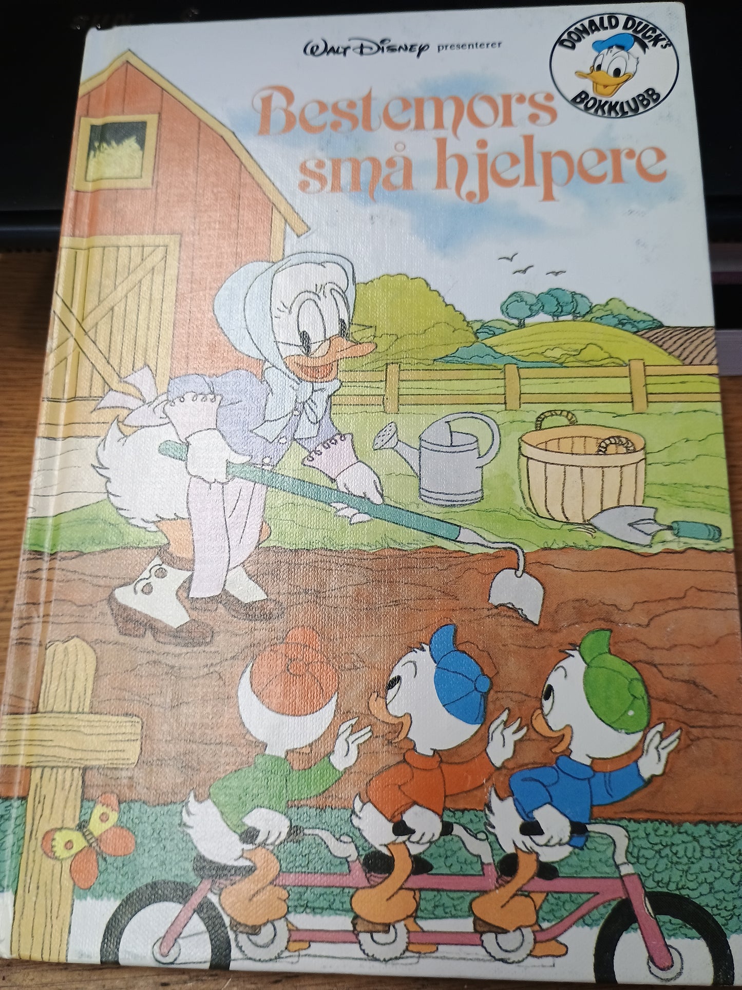 Bestemors små hjelpere, Walt Disney