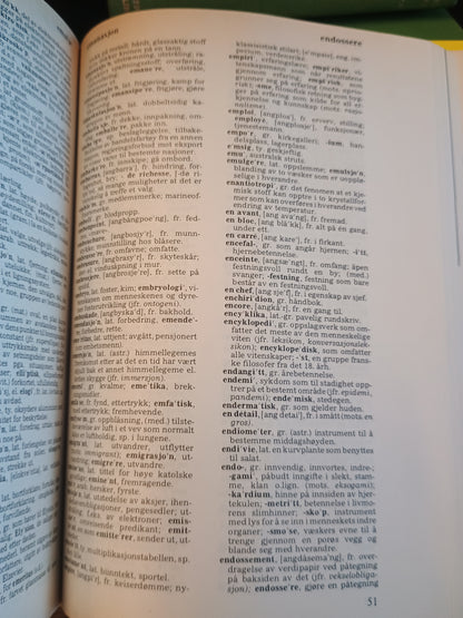 Kryssordkjempe, Kryssord, Fremmedordbok, Synonymordbok