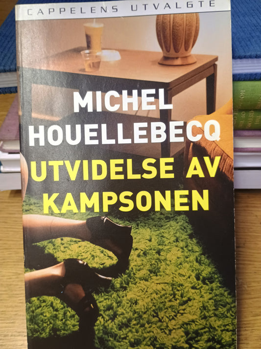 Utvidelse av kampsonen, Michel Houellebecq
