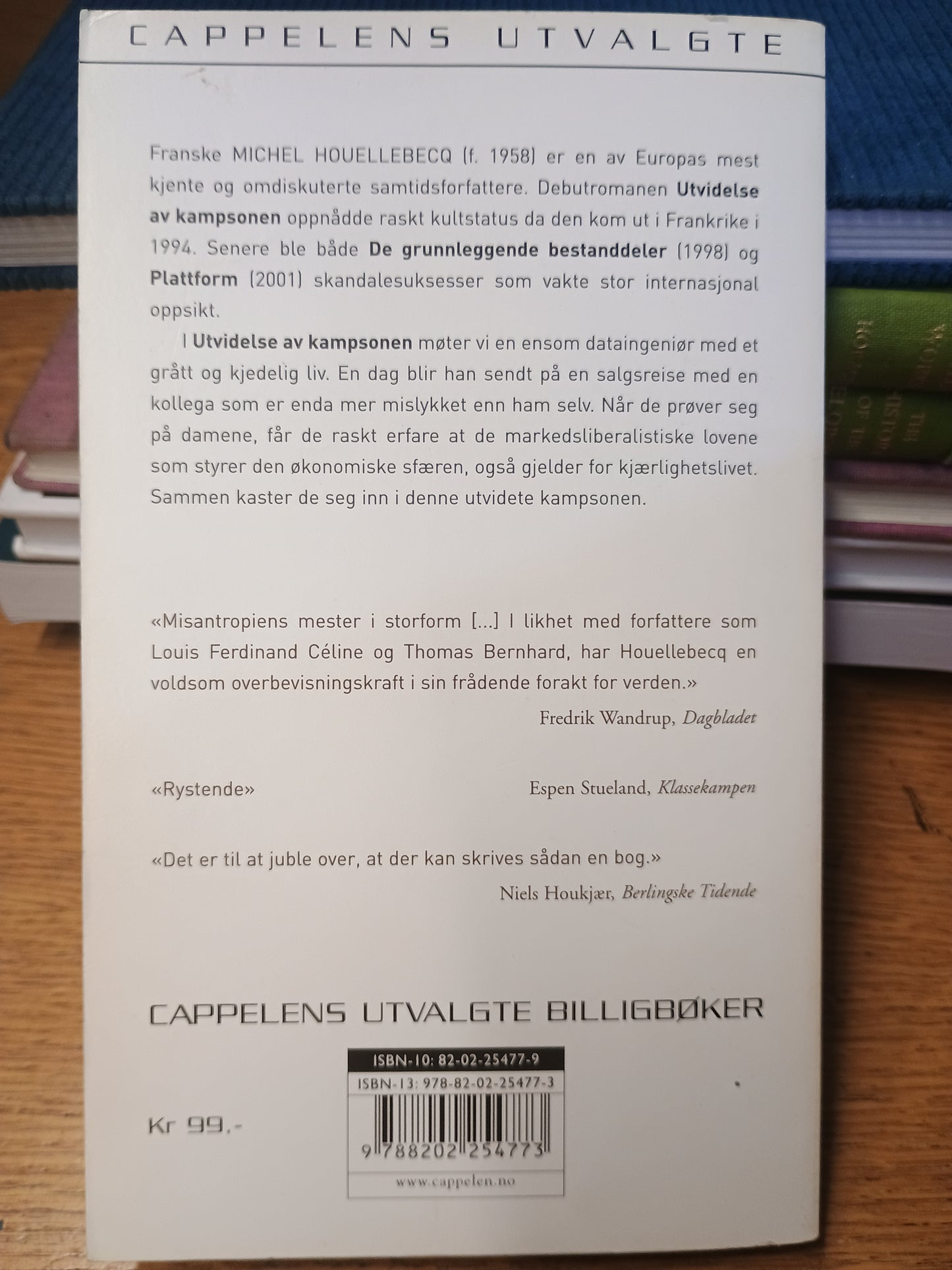 Utvidelse av kampsonen, Michel Houellebecq