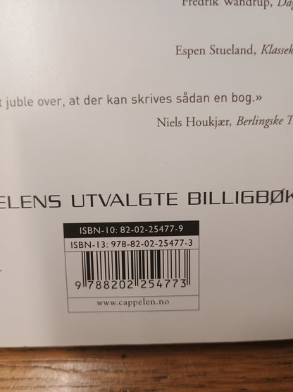 Utvidelse av kampsonen, Michel Houellebecq