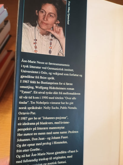 Faust, Del 1, Johann Wolfgang von Goethe