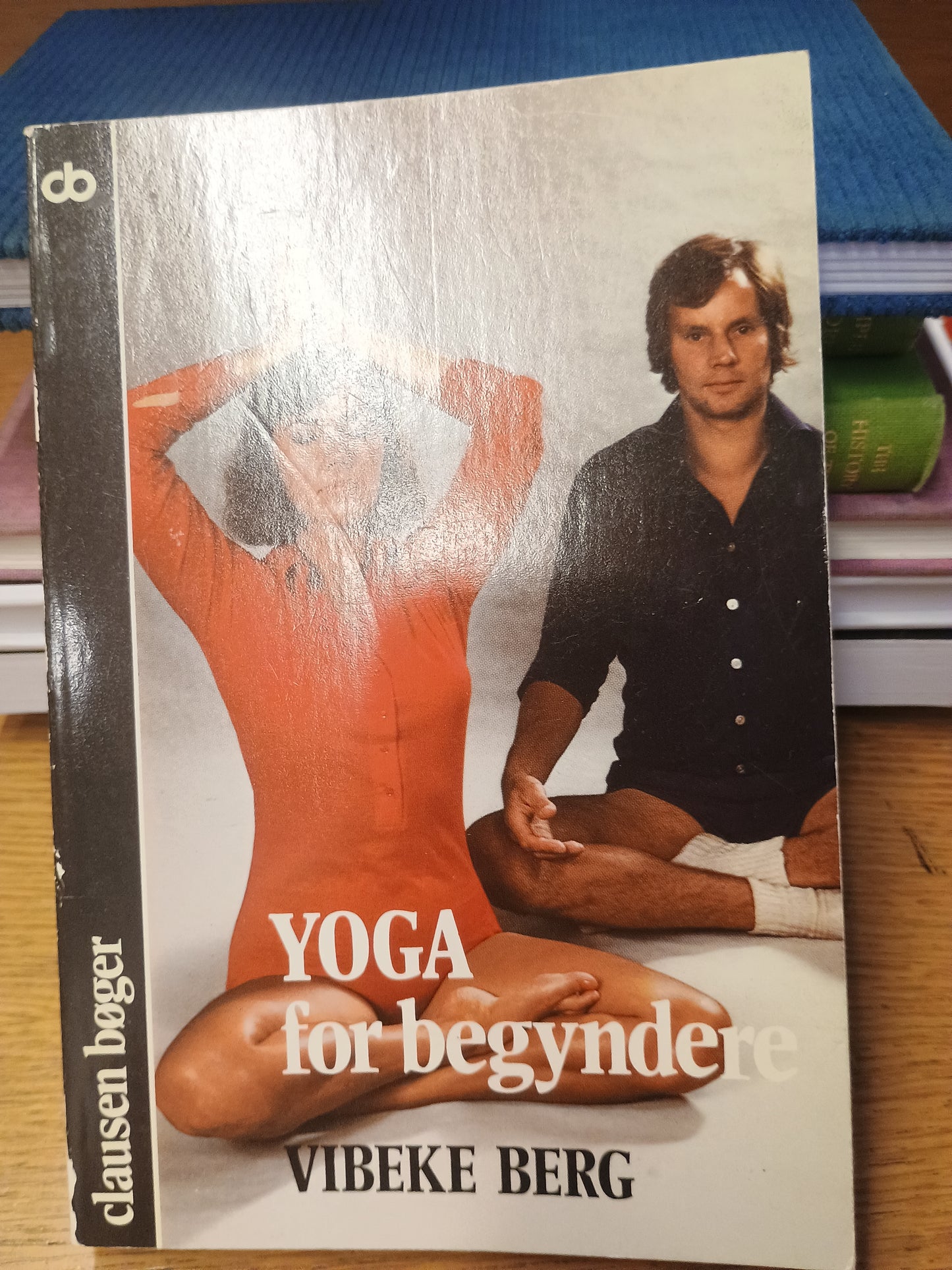 Yoga for begyndere, Vibeke Berg