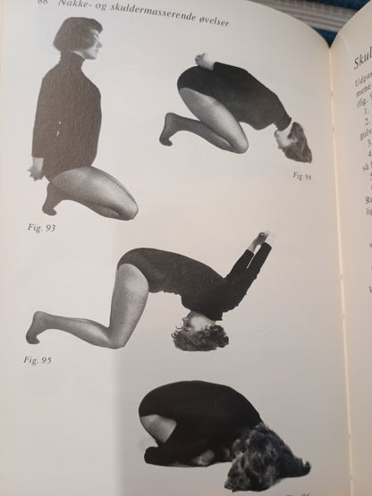 Yoga for begyndere, Vibeke Berg