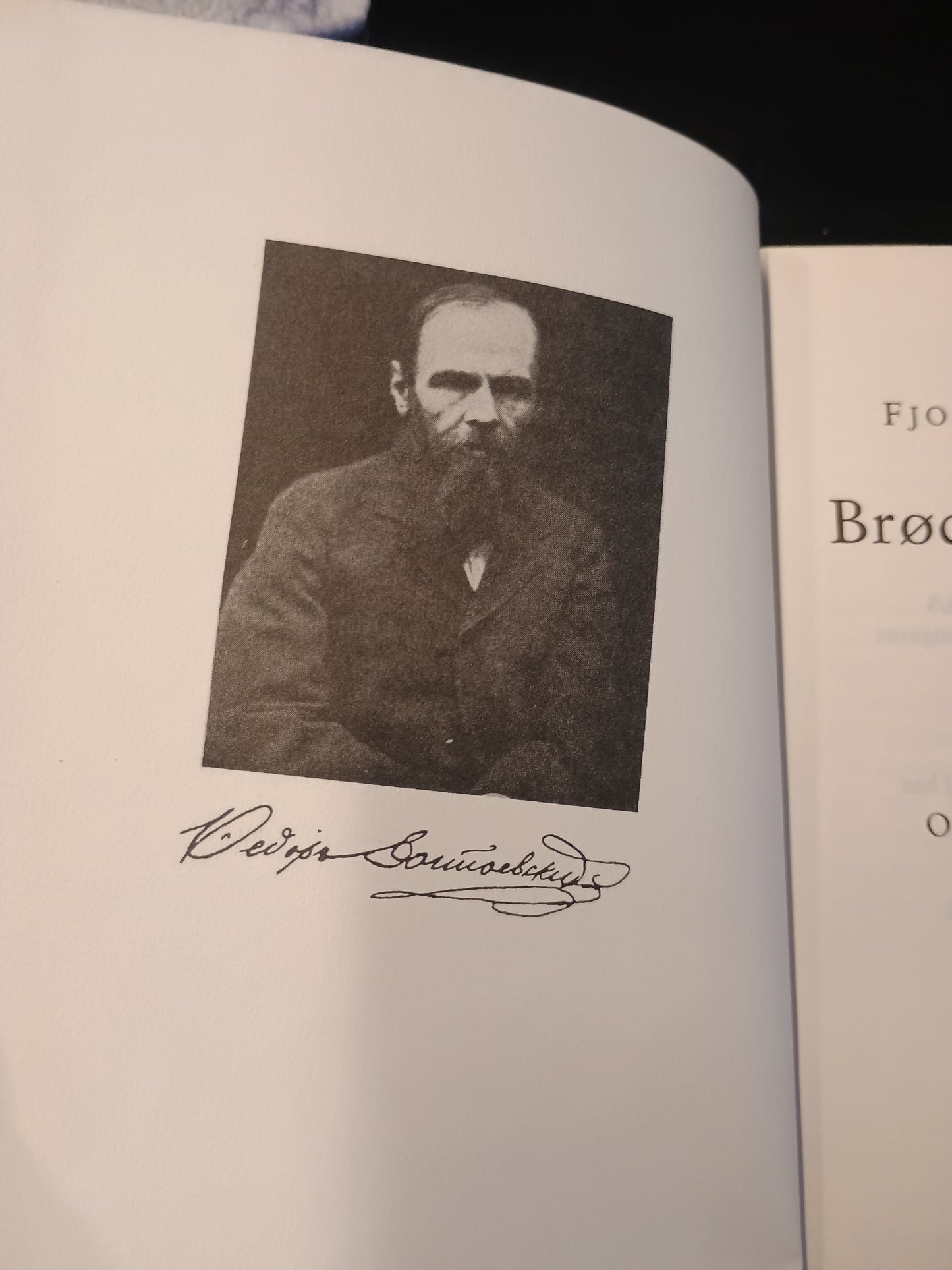 Brødrene Karamásov, bind I, II og III, Fjodor Dostojevskij