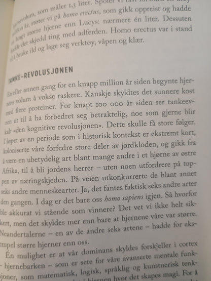 Bli hjernesterk, Tren deg lykkelig og smart, Anders Hansen