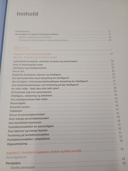 Organisasjon og ledelse, S. Einarsen, Ø. L. Martinsen, A. Skogstad