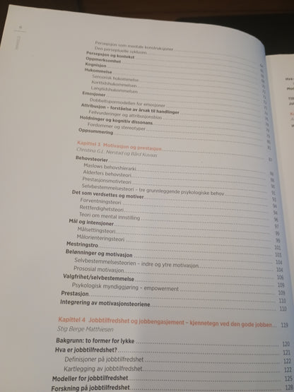 Organisasjon og ledelse, S. Einarsen, Ø. L. Martinsen, A. Skogstad