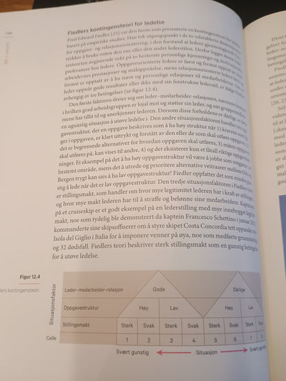 Organisasjon og ledelse, S. Einarsen, Ø. L. Martinsen, A. Skogstad