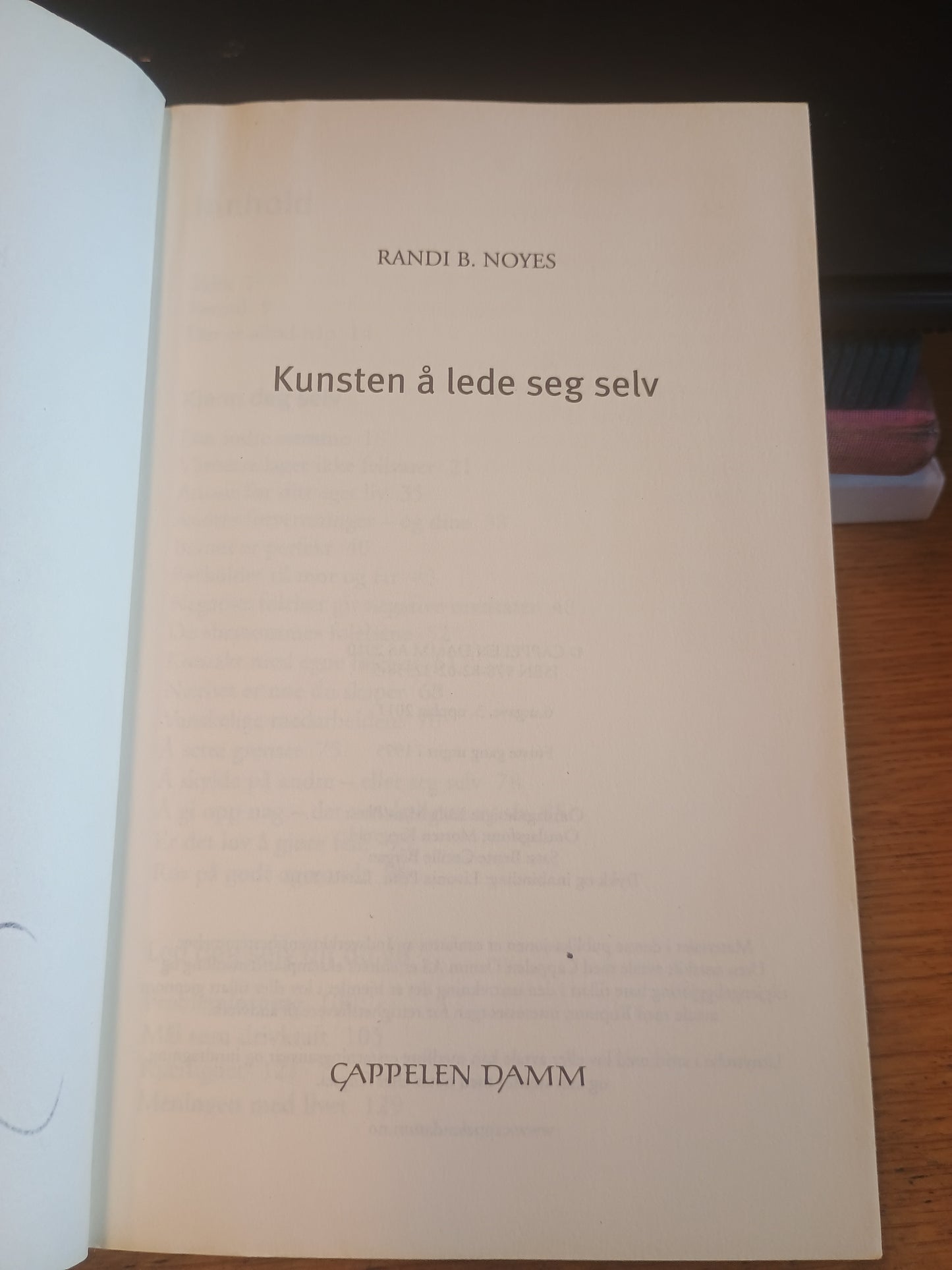 Kunsten å lede seg selv, Randi B. Noyes