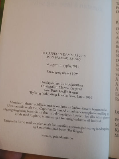 Kunsten å lede seg selv, Randi B. Noyes