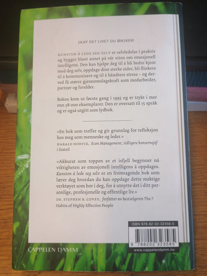 Kunsten å lede seg selv, Randi B. Noyes