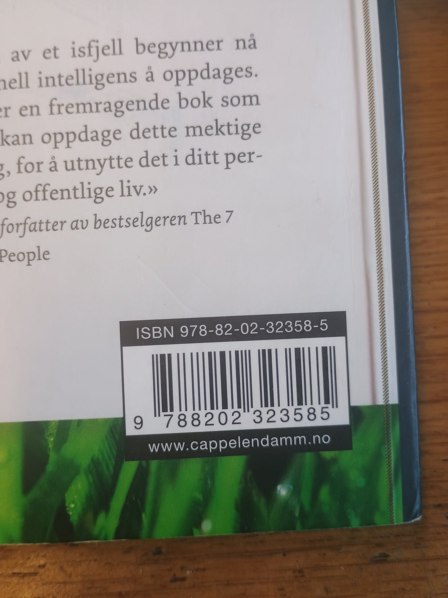 Kunsten å lede seg selv, Randi B. Noyes