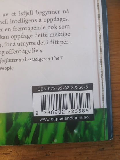 Kunsten å lede seg selv, Randi B. Noyes