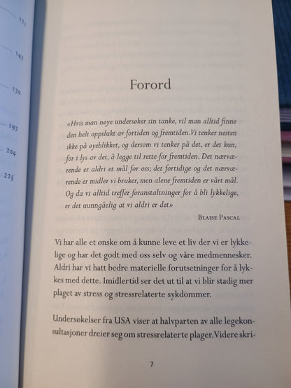 Mindfulness, lær deg å leve med mindre stress og mer nærvær, Rebekka Th. Egeland