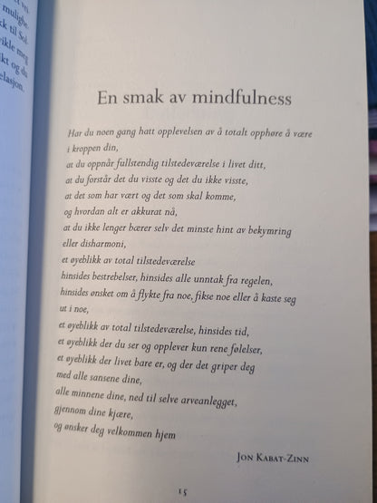 Mindfulness, lær deg å leve med mindre stress og mer nærvær, Rebekka Th. Egeland