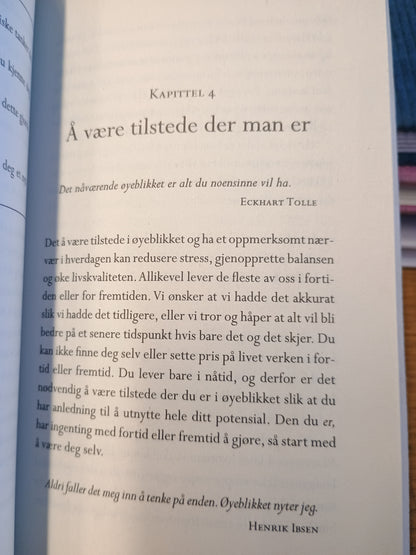 Mindfulness, lær deg å leve med mindre stress og mer nærvær, Rebekka Th. Egeland