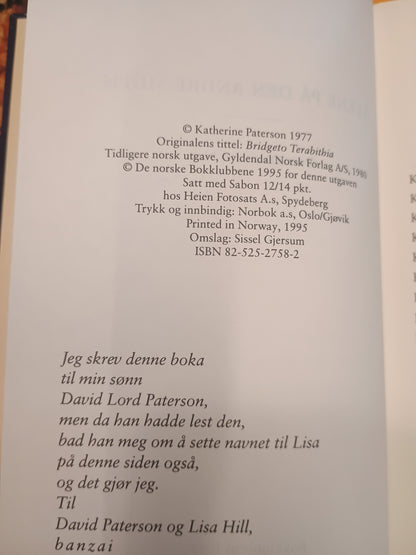 Alene på den andre siden, Katherine Paterson