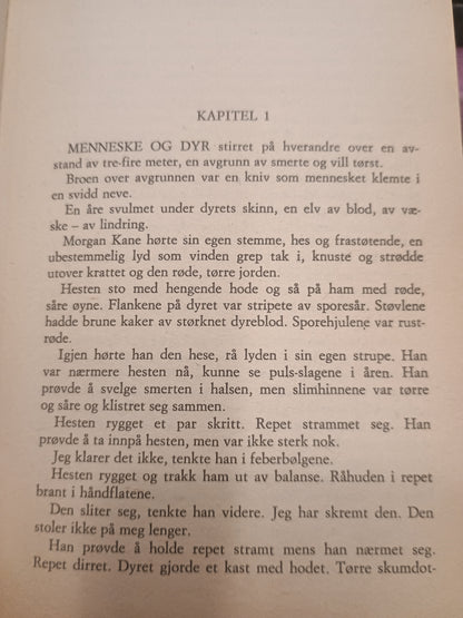 Morgan Kane, Møte i Tascota, Louis Masterson