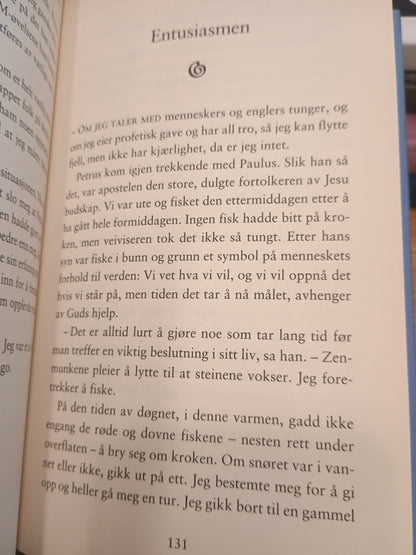 Pilegrimsreisen, Paulo Coelho