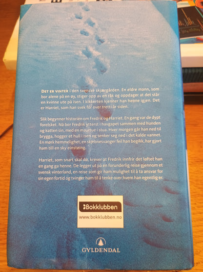 Italienske sko, Henning Mankell