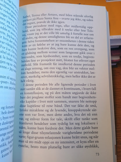 På vei fra Atocha stasjon, Ben Lerner