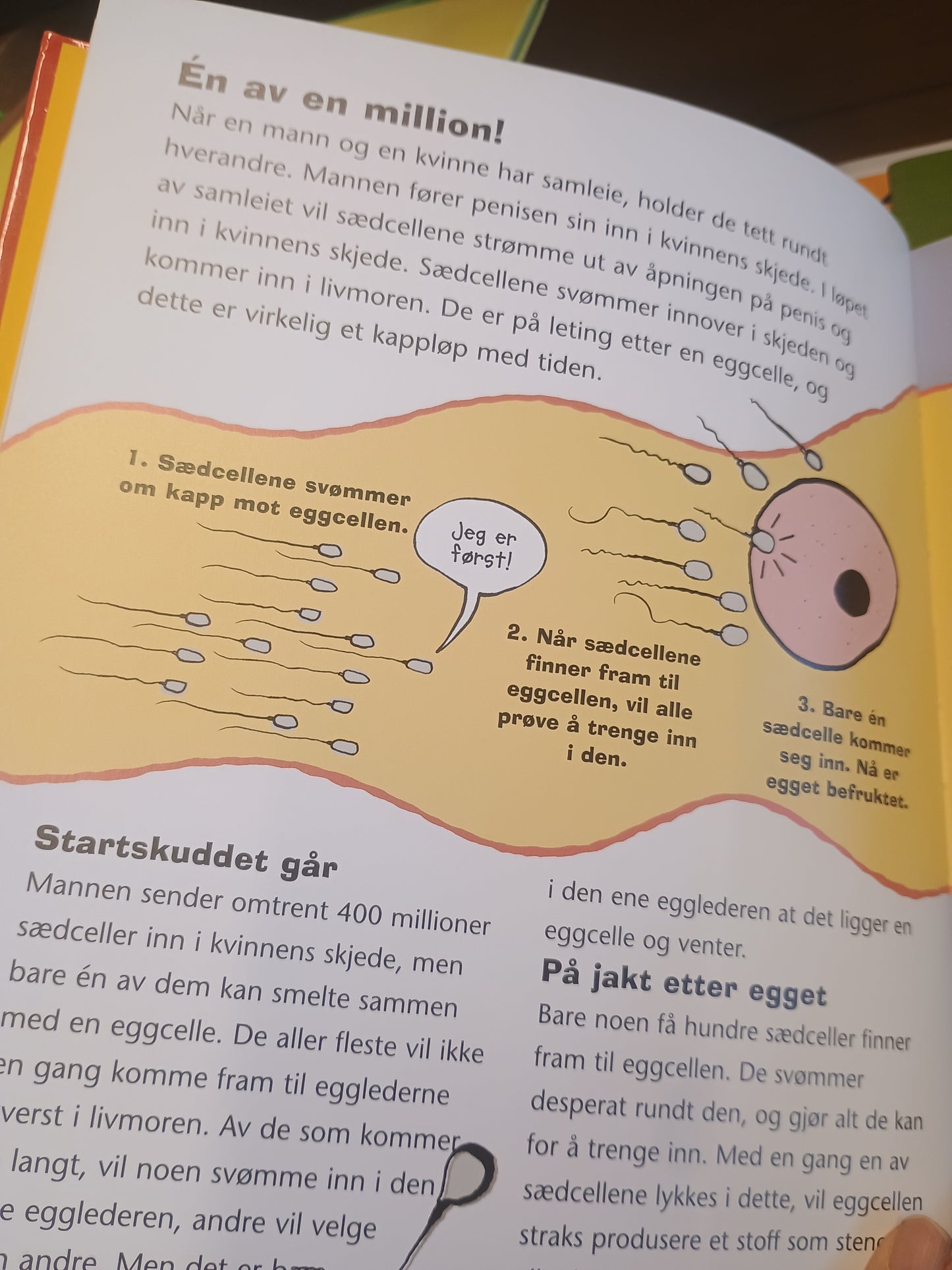 Hår både her og der, Jacqui Bailey