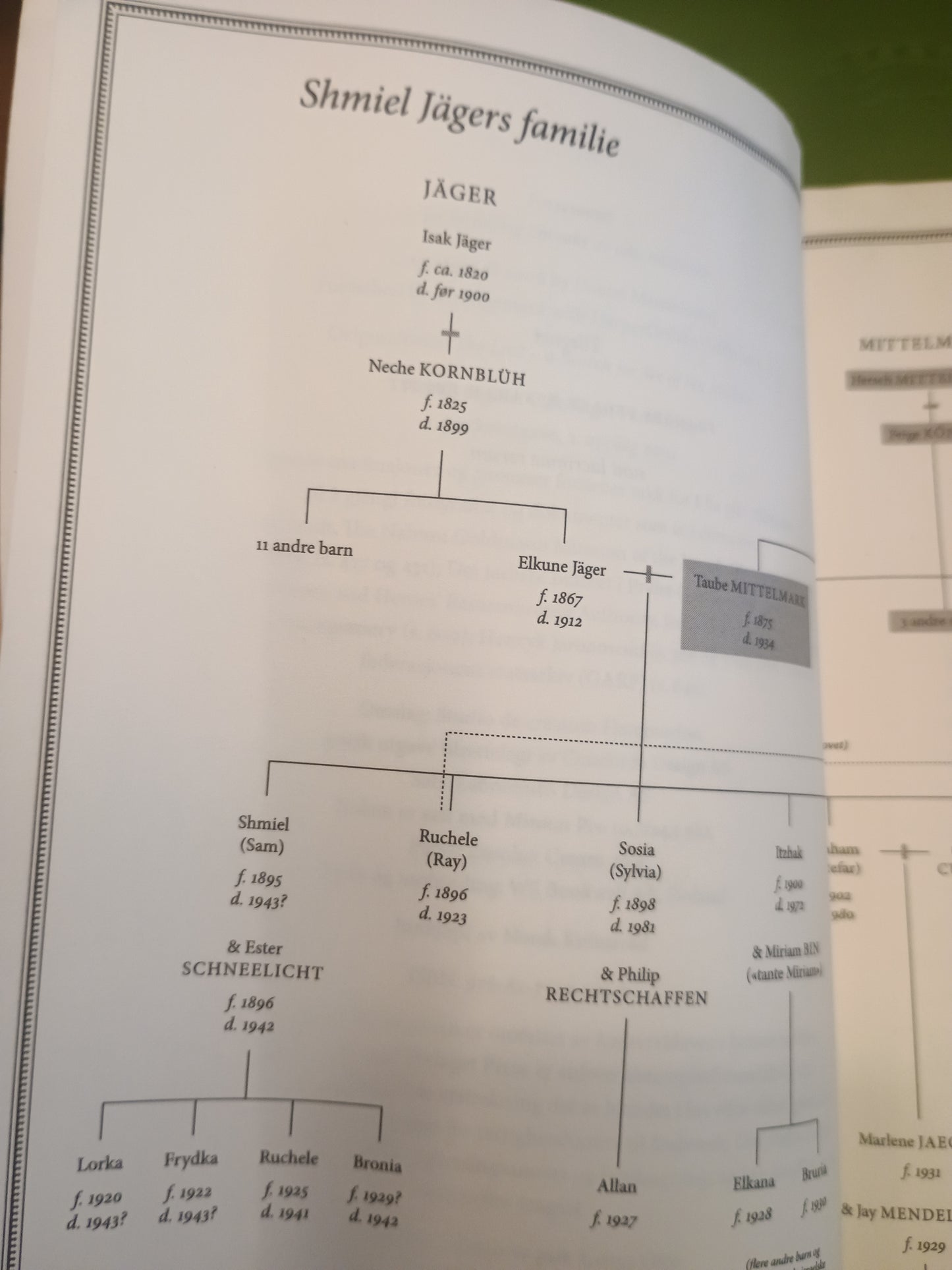Forsvunnet, Daniel Mendelsohn