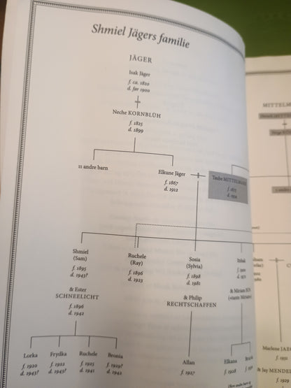 Forsvunnet, Daniel Mendelsohn