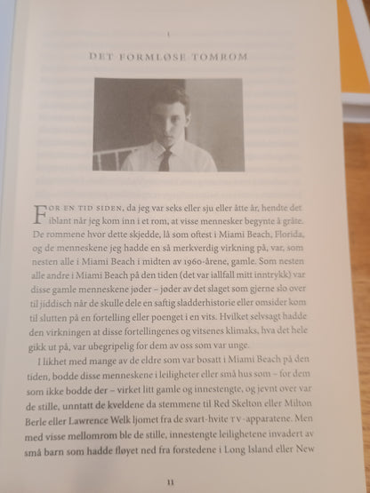 Forsvunnet, Daniel Mendelsohn