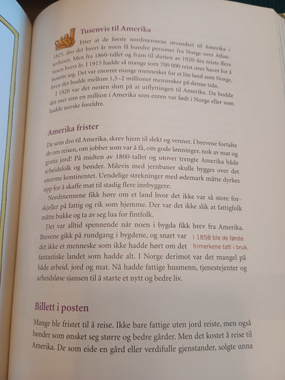 Aschehougs Illustrerer Norgeshistorie, Unni Løkkebø og Margit Løyland