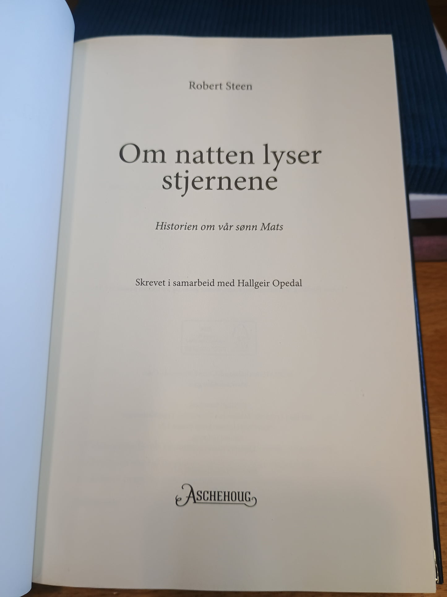 Om natten lyser stjernene, Robert Steen