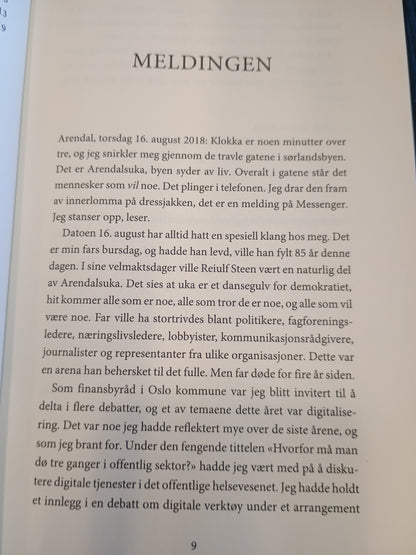 Om natten lyser stjernene, Robert Steen