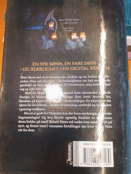 Om natten lyser stjernene, Robert Steen