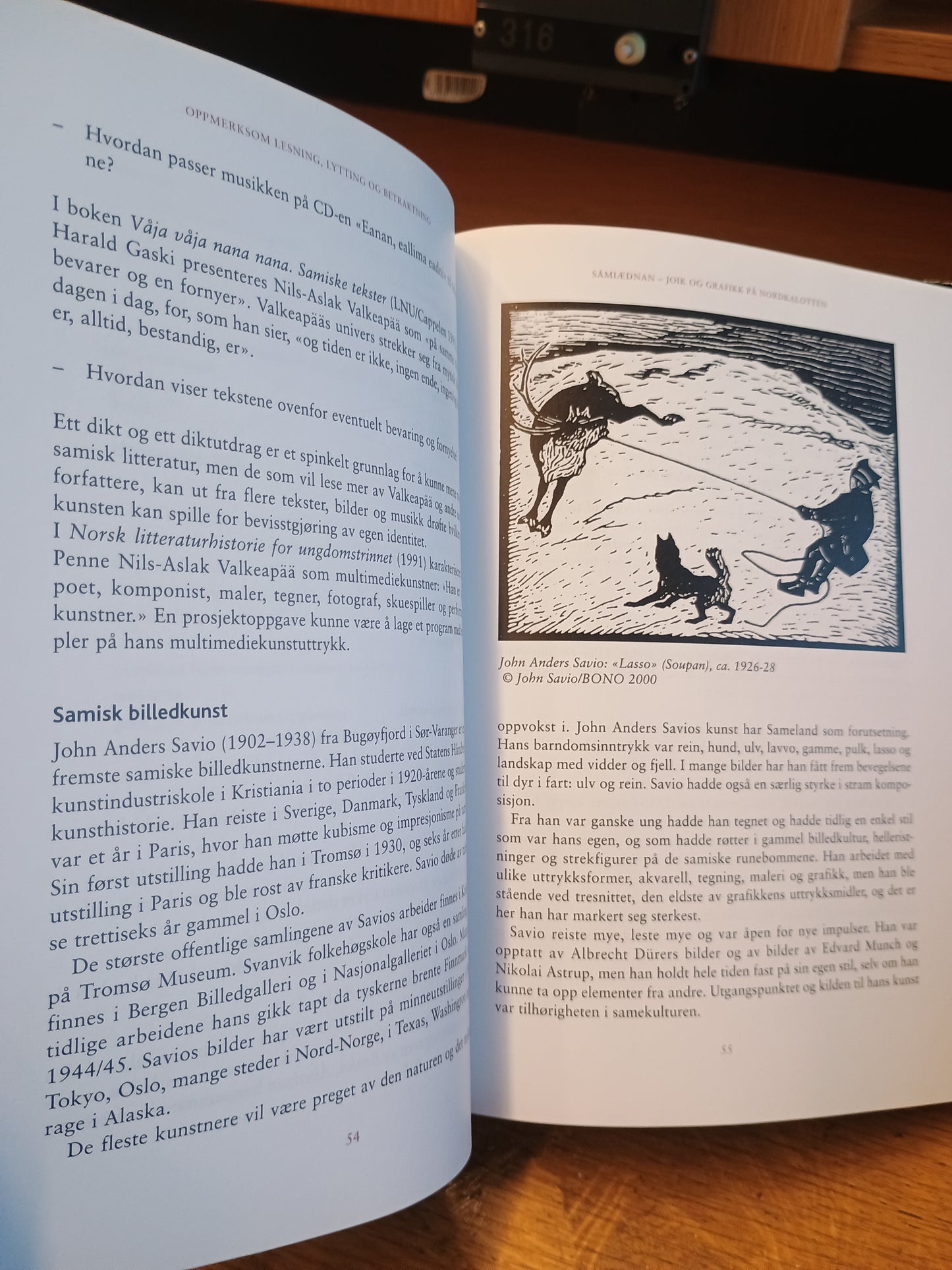 Litteratur, bilde og musikk, K. M. Ganer og Anne-Kati Skardhamar