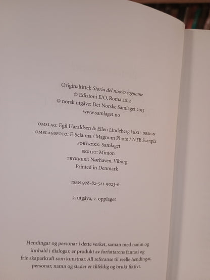Historia om det nye navnet. Napoli-kvartetten. Bok 2, Elena Ferrante