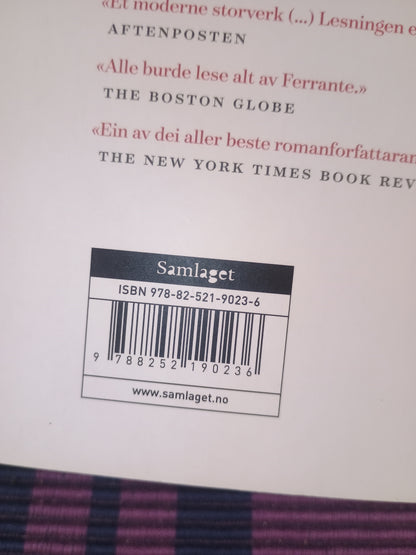 Historia om det nye navnet. Napoli-kvartetten. Bok 2, Elena Ferrante