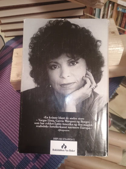 De endeløse planen, Isabel Allende