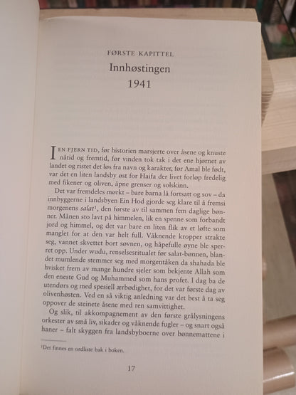 Morgen i Jenin, Susan Abulhawa