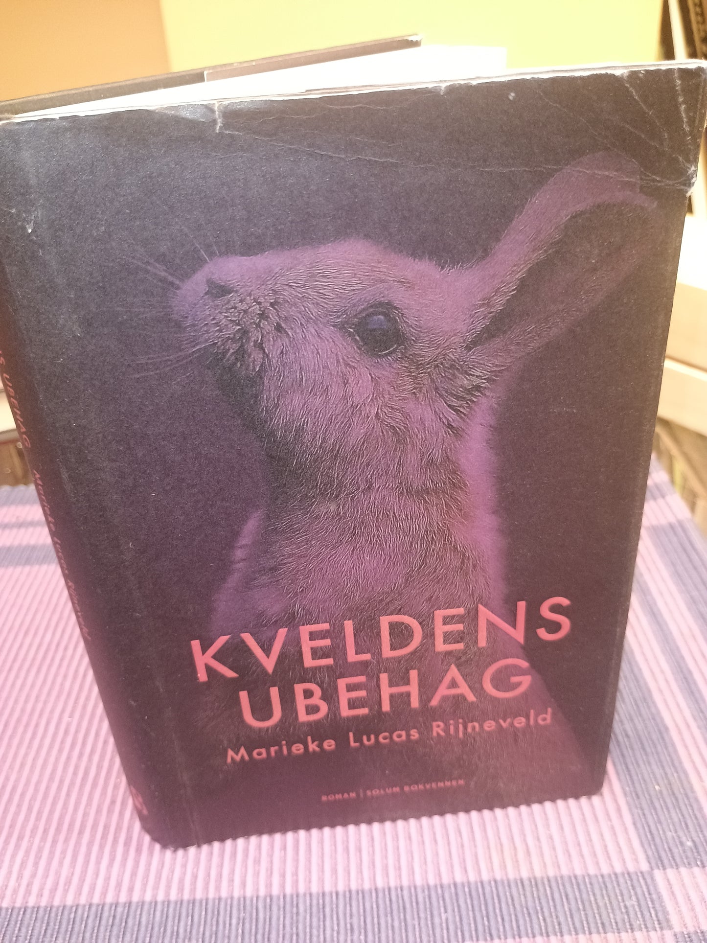 Kveldens ubehag, Marielle Lucas Rijneveld