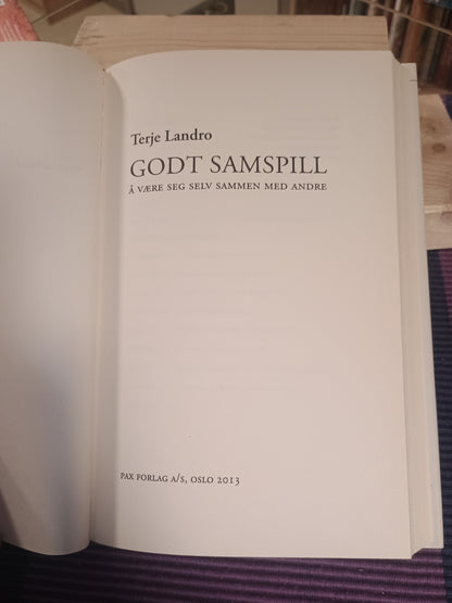 Godt samspill, Terje Landro