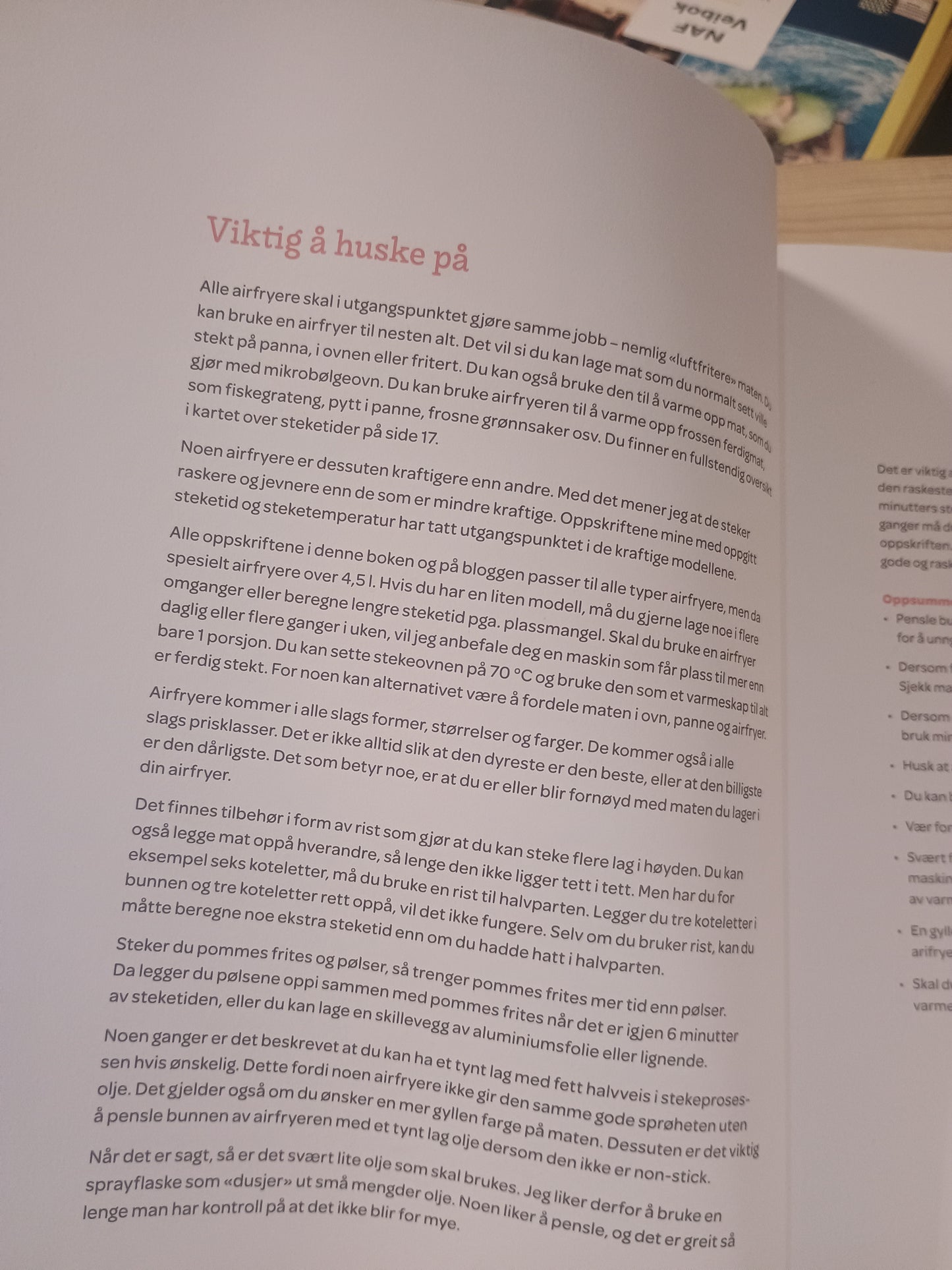 Den store Airfryerkokeboka, Trude Eide Straume