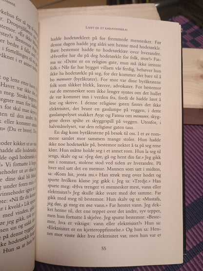 Livet er et karavanserai. Har to dører..., Emine Sevgi Özdamar