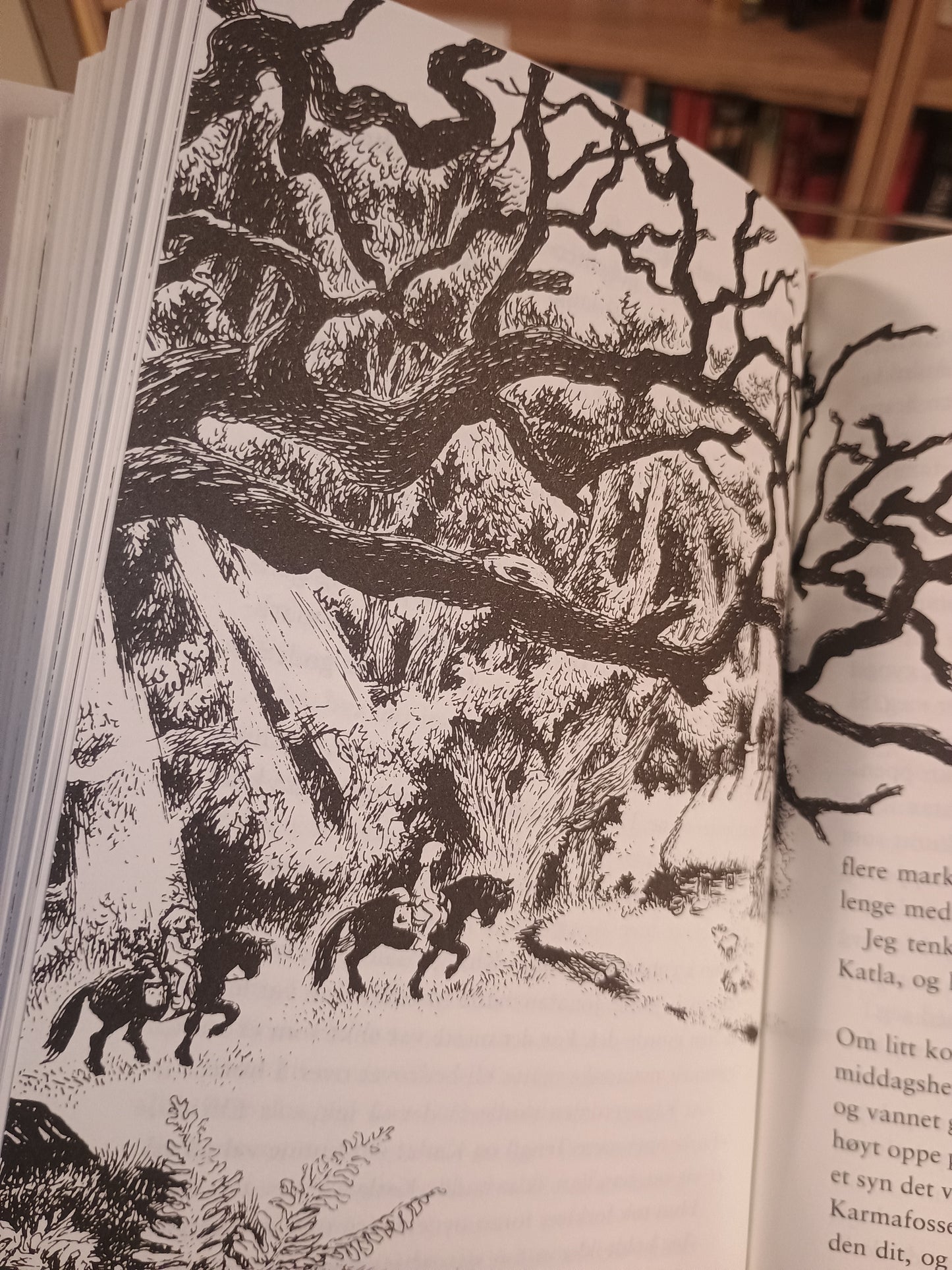 Brødrene Løvehjerte, Astrid Lindgren
