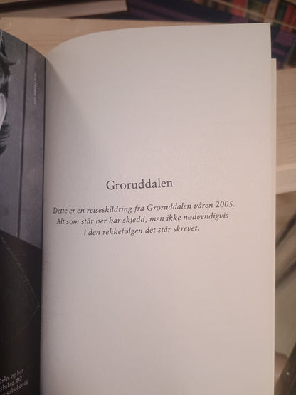 Groruddalen: En reiseskildring, Øyvind Holen