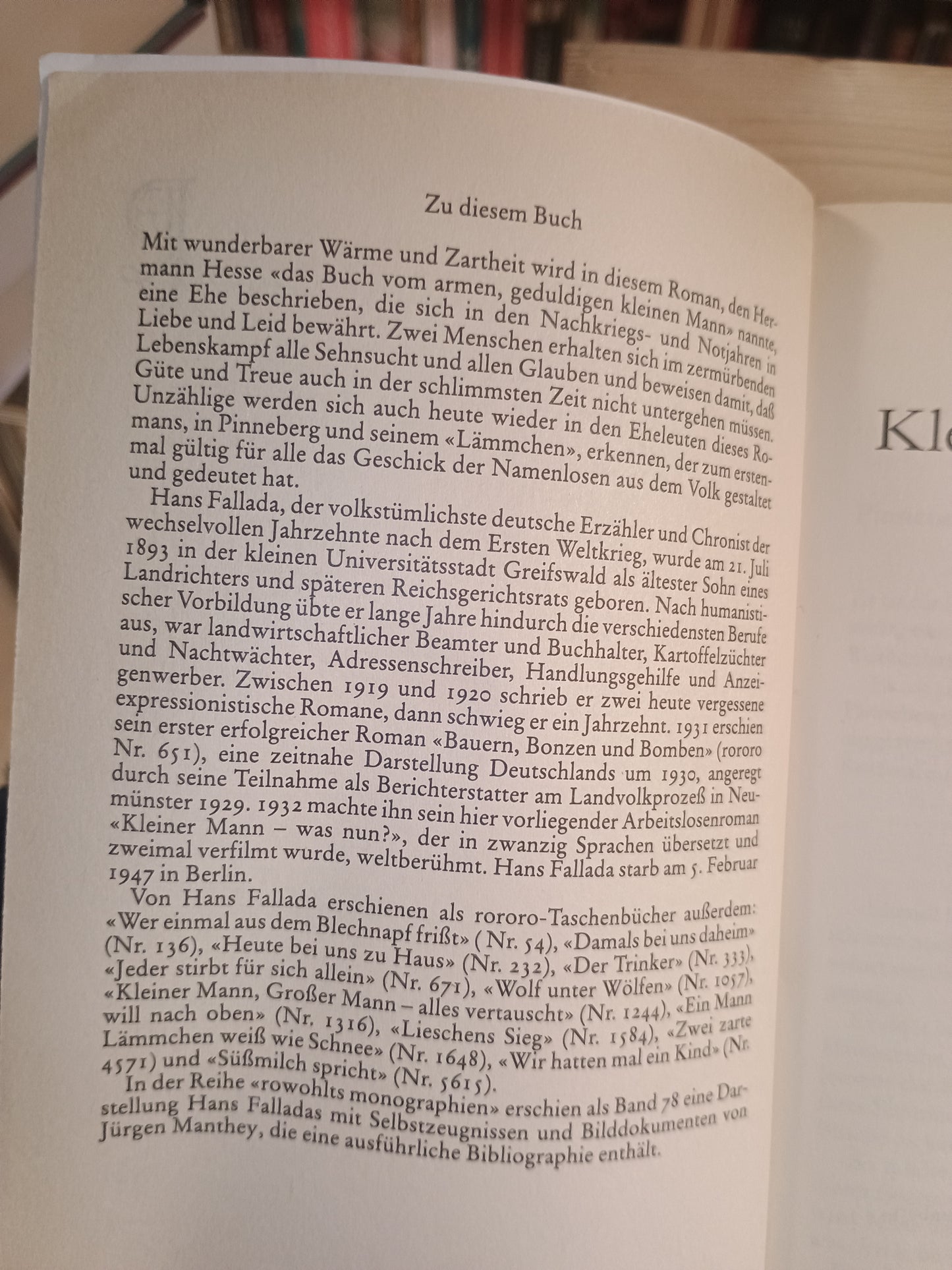 Kleiner Mann - was nun?, Hans Fallada