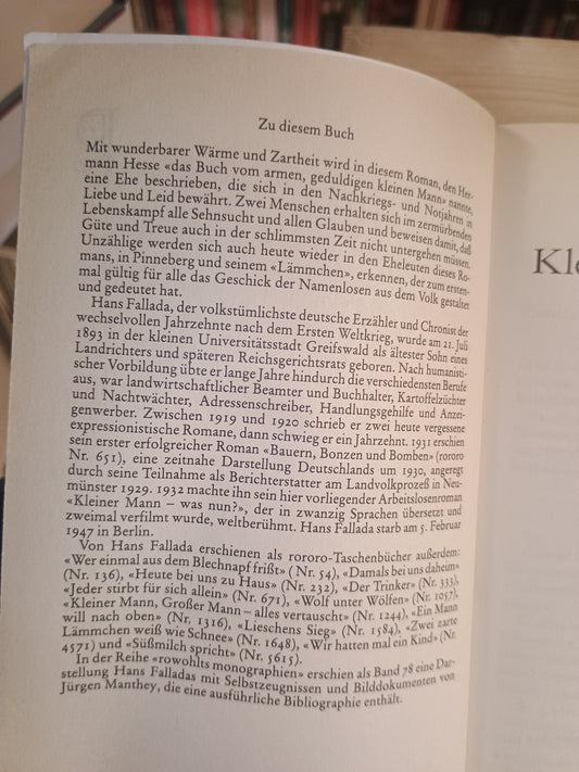 Kleiner Mann - was nun?, Hans Fallada