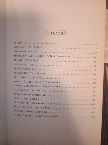Der var inte mitt fel! Om konsten att ta ansvar, Ann Heberlein