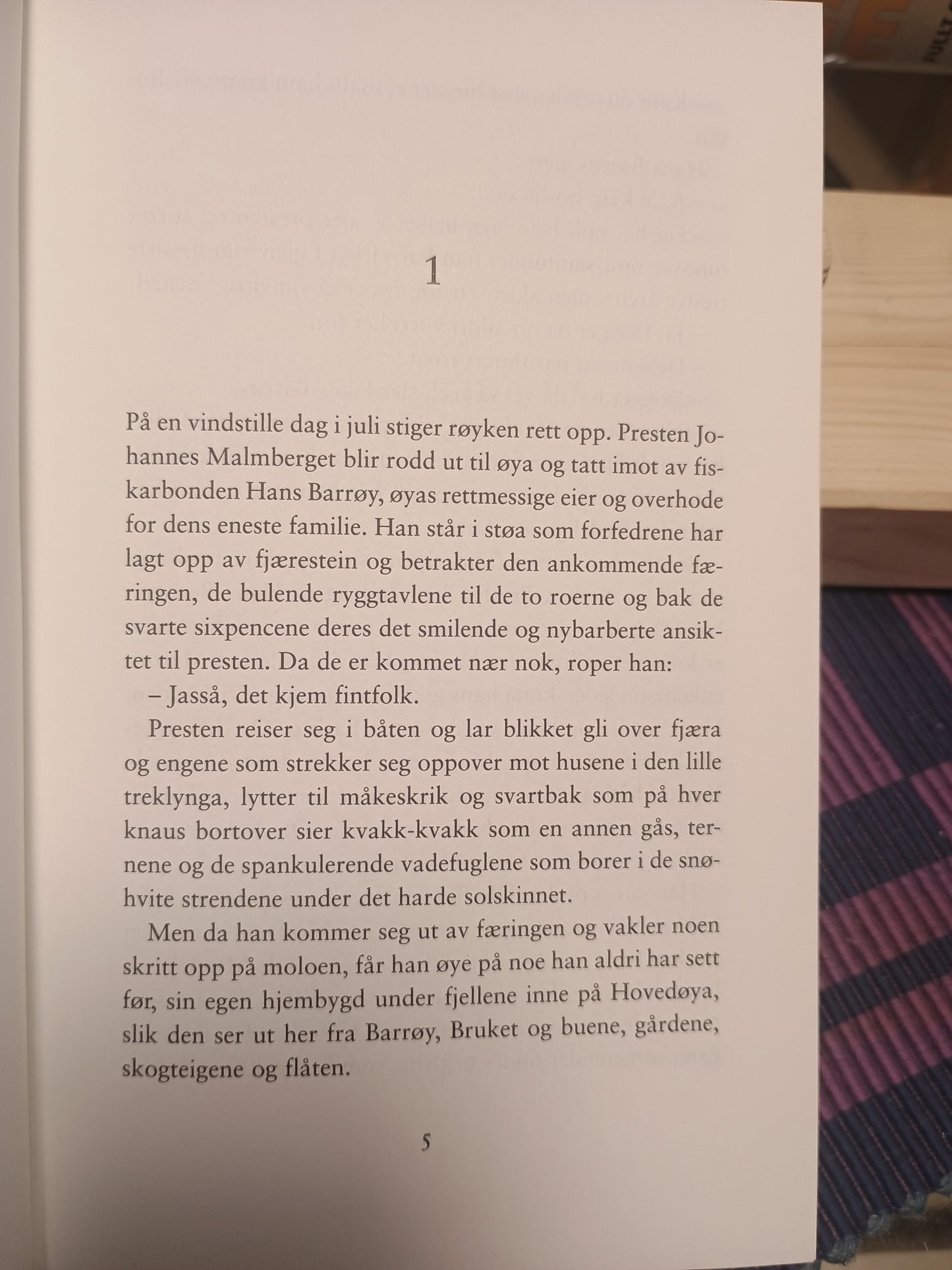 De usynlige, Roy Jacobsen