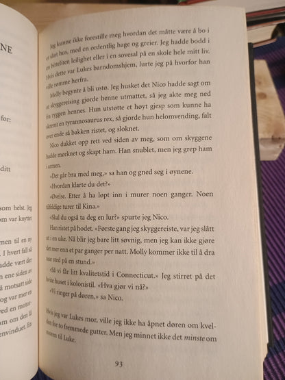 Den siste Olympier, Percy Jackson